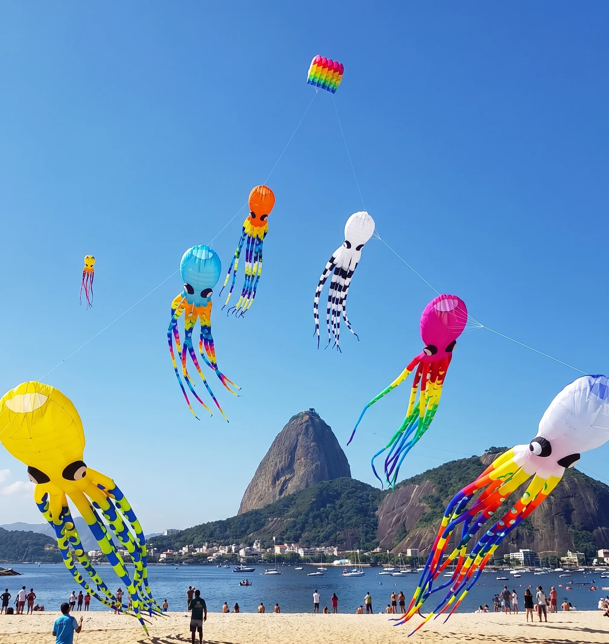 Pipas gigantes e artísticas tomam conta do céu da Praia do Flamengo neste domingo